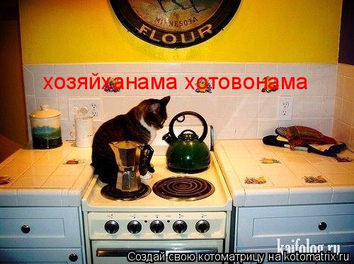 Котоматрица: хозяйханама хотовонама