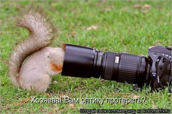 Котоматрица: Хозяева! Вам оптику протереть?