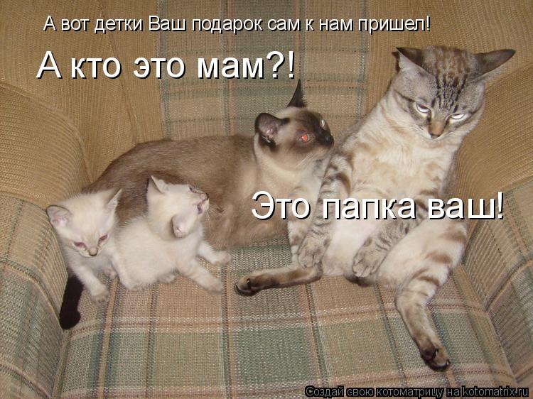 Котоматрица: А вот детки Ваш подарок сам к нам пришел! А кто это мам?! Это папка ваш!