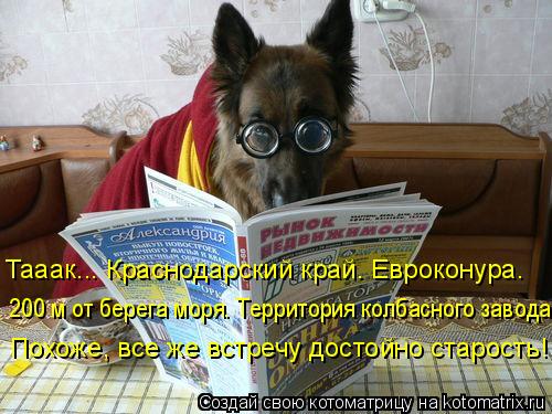 Котоматрица: Тааак... Краснодарский край. Евроконура.  200 м от берега моря. Территория колбасного завода.  Похоже, все же встречу достойно старость!