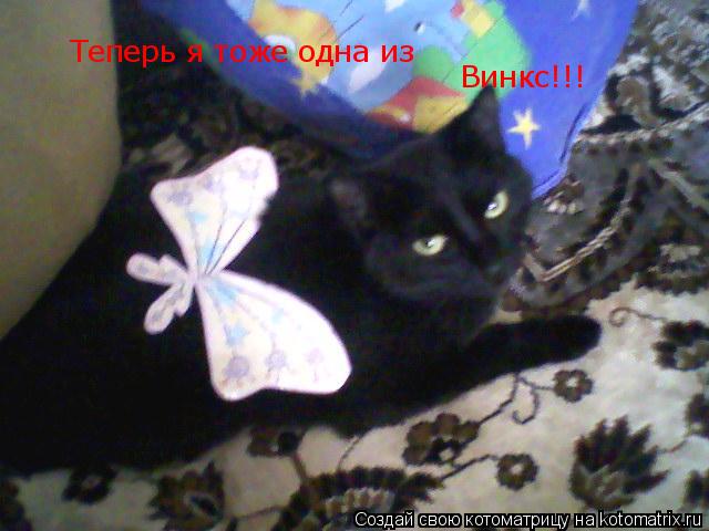 Котоматрица: Теперь я тоже одна из Винкс!!!
