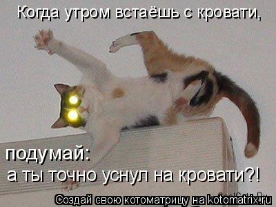 Котоматрица: Когда утром встаёшь с кровати,  подумай: а ты точно уснул на кровати?!