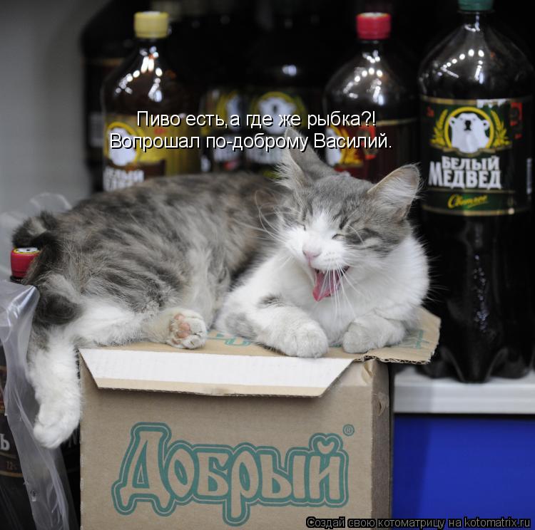 Котоматрица: Пиво есть,а где же рыбка?! Вопрошал по-доброму Василий.