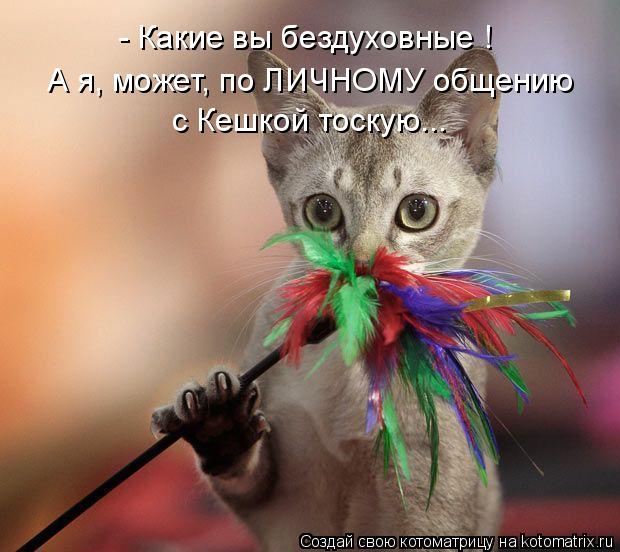 - Какие вы бездуховные ! А я, может, по ЛИЧНОМУ общению с Кешкой тоскую...... Котоматрица: - Какие вы бездуховные ! А я, может, по ЛИЧНОМУ общению с Кешкой тоскую...
