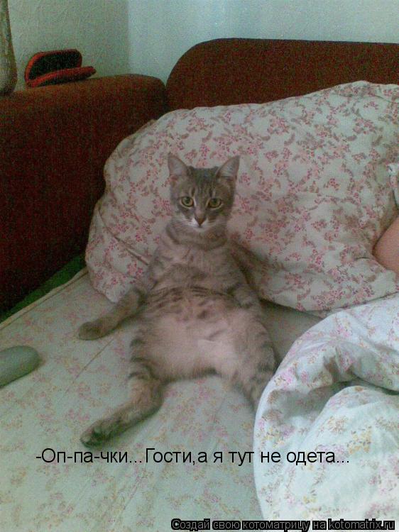 -Оп-па-чки...Гости,а я тут не одета...... Котоматрица: -Оп-па-чки...Гости,а я тут не одета...
