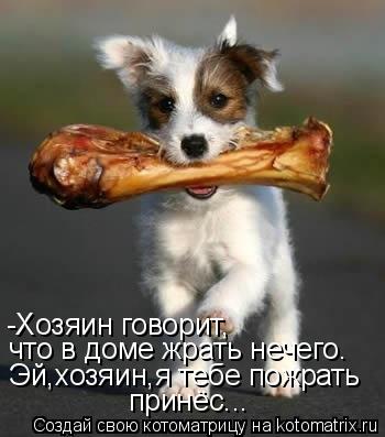 -Хозяин говорит, что в доме жрать нечего. Эй,хозяин,я тебе пожрать принёс...... Котоматрица: -Хозяин говорит, что в доме жрать нечего. Эй,хозяин,я тебе пожрать принёс...