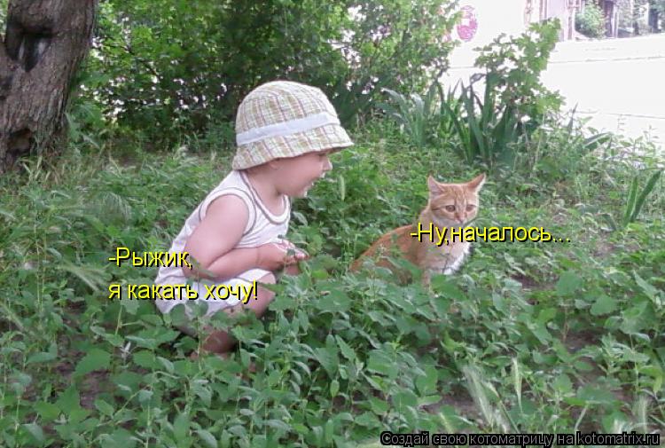 -Рыжик, я какать хочу! -Ну,началось...... Котоматрица: -Рыжик, я какать хочу! -Ну,началось...
