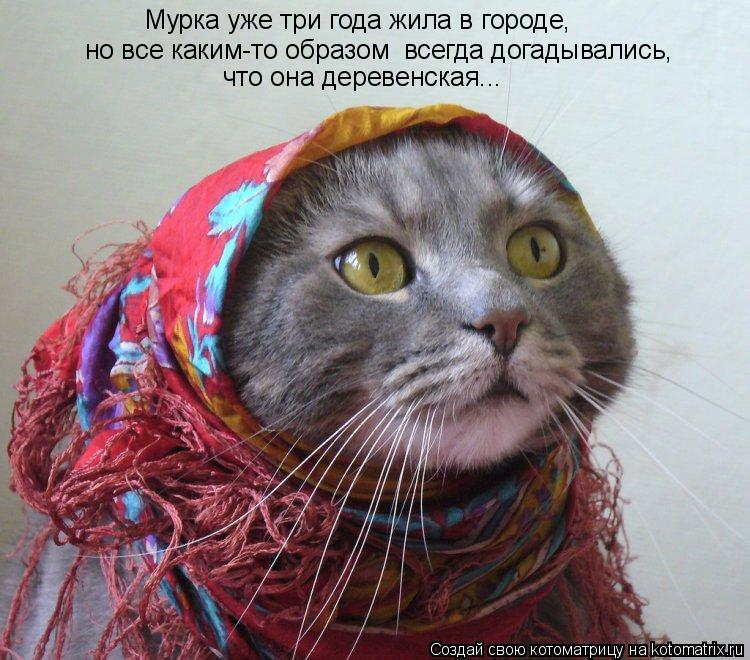 Мурка уже три года жила в городе, но все каким-то образом всегда догадывались, что она деревенская..... Котоматрица: Мурка уже три года жила в городе, но все каким-то образом всегда догадывались, что она деревенская...