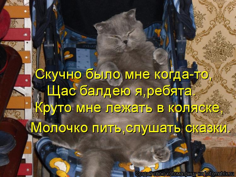 Скучно было мне когда-то, Щас балдею я,ребята. Круто мне лежать в коляске, Молочко пить,слушать сказк... Котоматрица: Скучно было мне когда-то, Щас балдею я,ребята. Круто мне лежать в коляске, Молочко пить,слушать сказки.