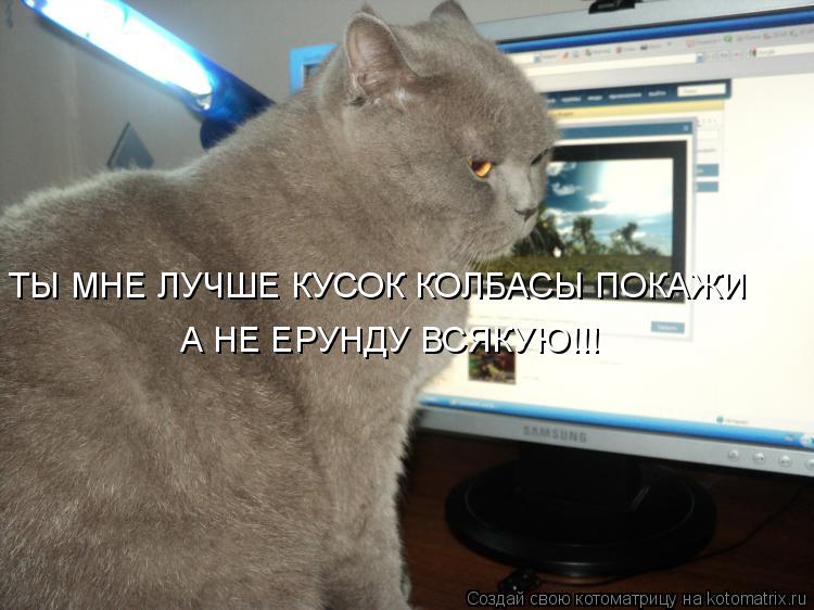 Котоматрица: ТЫ МНЕ ЛУЧШЕ КУСОК КОЛБАСЫ ПОКАЖИ А НЕ ЕРУНДУ ВСЯКУЮ!!!