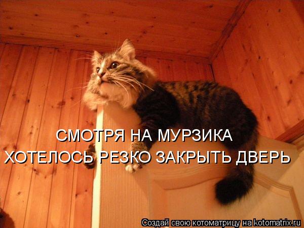 Котоматрица: СМОТРЯ НА МУРЗИКА ХОТЕЛОСЬ РЕЗКО ЗАКРЫТЬ ДВЕРЬ
