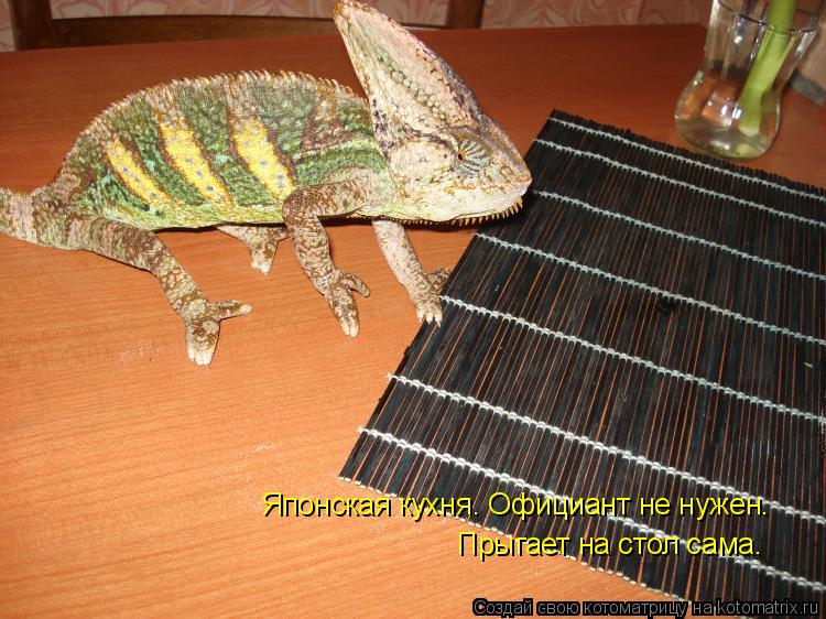 Котоматрица: Японская кухня. Официант не нужен.  Прыгает на стол сама.