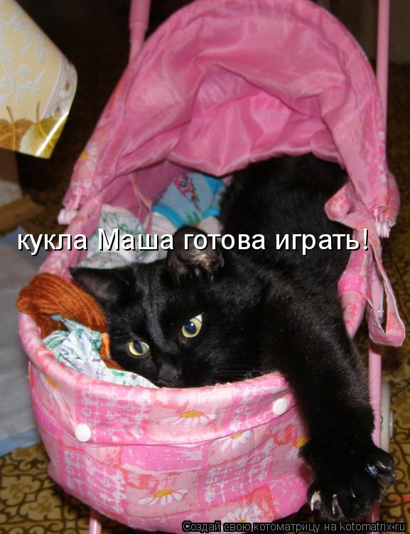 Котоматрица: кукла Маша готова играть!