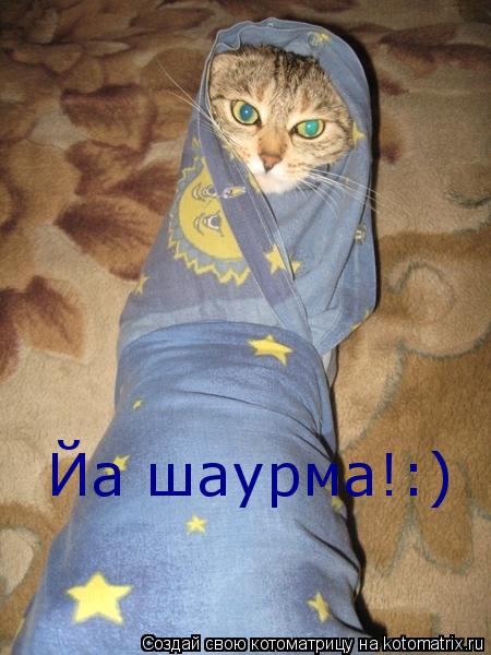 Котоматрица: Йа шаурма!:)