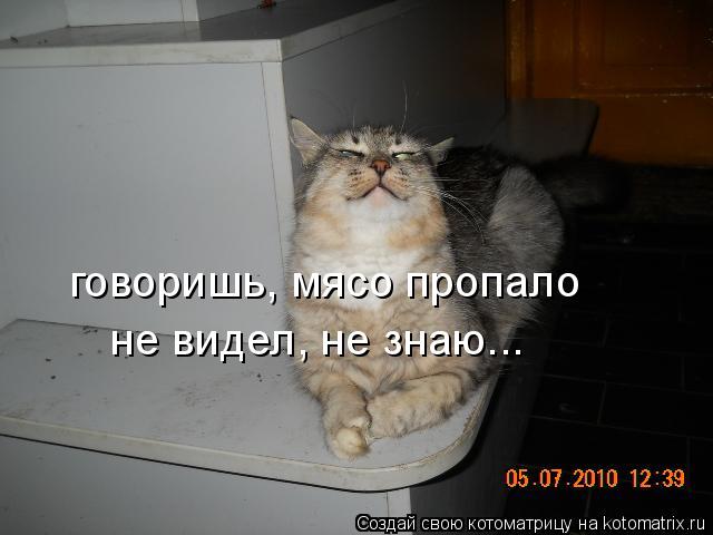 Котоматрица: говоришь, мясо пропало не видел, не знаю...