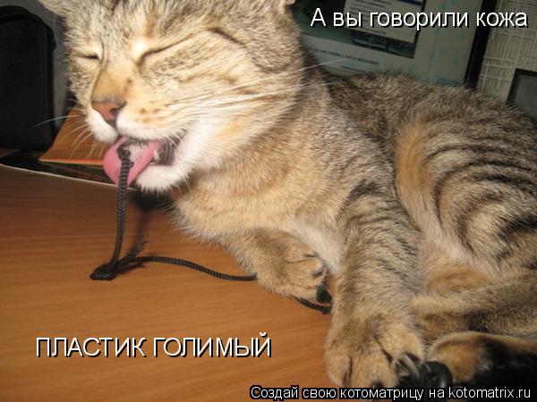 Котоматрица: А вы говорили кожа ПЛАСТИК ГОЛИМЫЙ