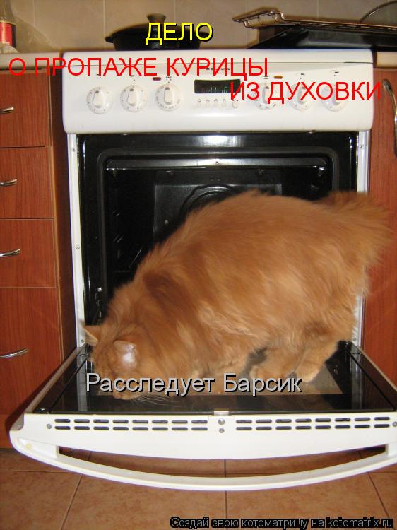 Котоматрица: ДЕЛО О ПРОПАЖЕ КУРИЦЫ ИЗ ДУХОВКИ Расследует Барсик