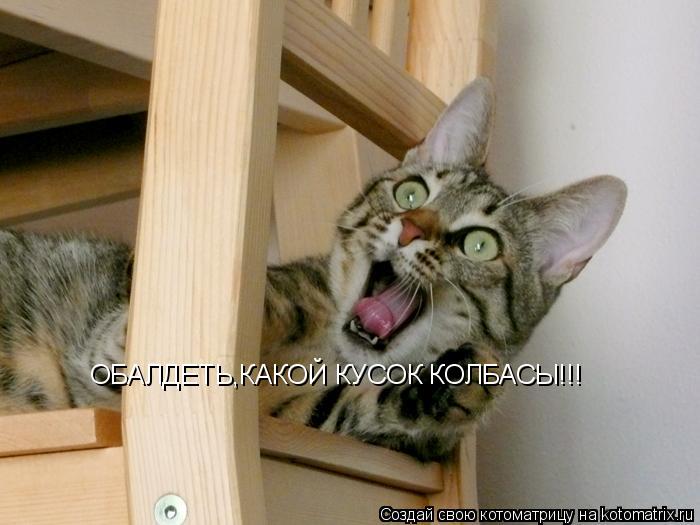 Котоматрица: ОБАЛДЕТЬ,КАКОЙ КУСОК КОЛБАСЫ!!!