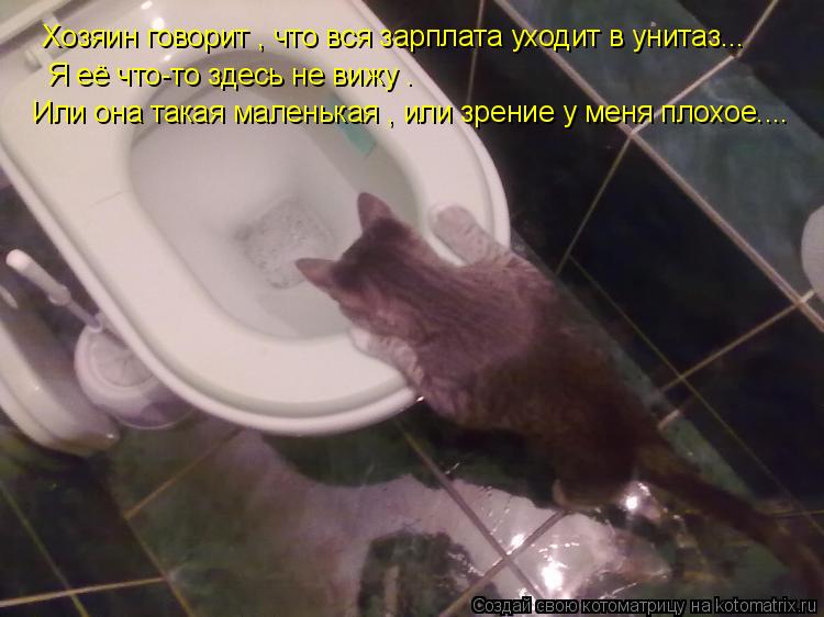 Котоматрица: Хозяин говорит , что вся зарплата уходит в унитаз... Я её что-то здесь не вижу .  Или она такая маленькая , или зрение у меня плохое....
