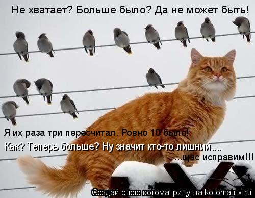 Котоматрица: Не хватает? Больше было? Да не может быть! Я их раза три пересчитал. Ровно 10 было! Как? Теперь больше? Ну значит кто-то лишний.... ...щас исправим!!
