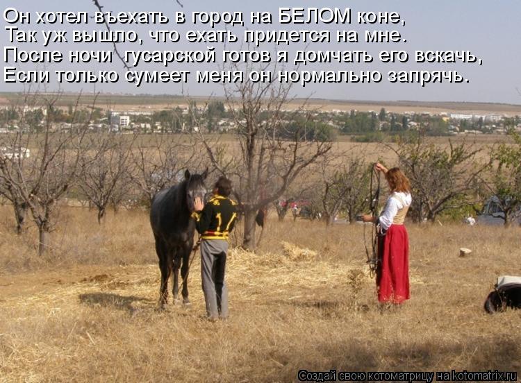 Котоматрица: Он хотел въехать в город на БЕЛОМ коне, Так уж вышло, что ехать придется на мне. После ночи  гусарской готов я домчать его вскачь, После ночи  
