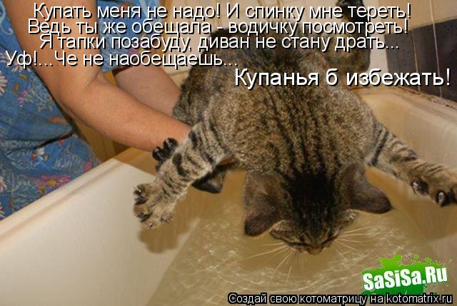 Купать меня не надо! И спинку мне тереть! Ведь ты же обещала - водичку посмотреть! Я тапки позабуду, ... Котоматрица: Купать меня не надо! И спинку мне тереть! Ведь ты же обещала - водичку посмотреть! Я тапки позабуду, диван не стану драть... Уф!...Че не наобещае