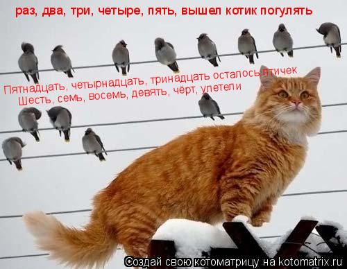 Котоматрица: раз, два, три, четыре, пять, вышел котик погулять Пятнадцать, четырнадцать, тринадцать осталось птичек Шесть, семь, восемь, девять, чёрт, улет
