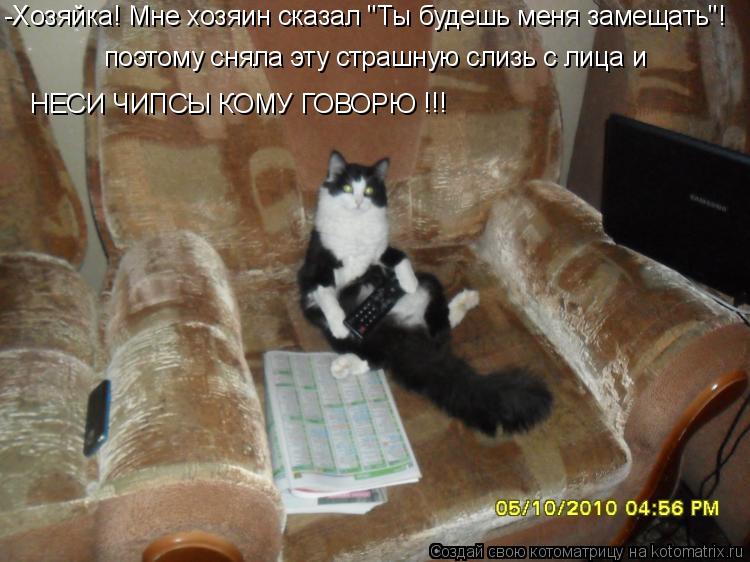 Котоматрица: -Хозяйка! Мне хозяин сказал "Ты будешь меня замещать"! поэтому сняла эту страшную слизь с лица и  НЕСИ ЧИПСЫ КОМУ ГОВОРЮ !!!