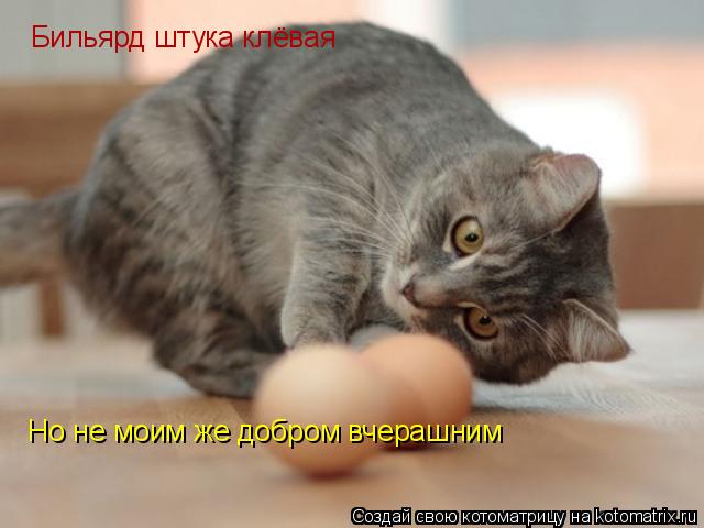 Котоматрица: Бильярд штука клёвая Но не моим же добром вчерашним