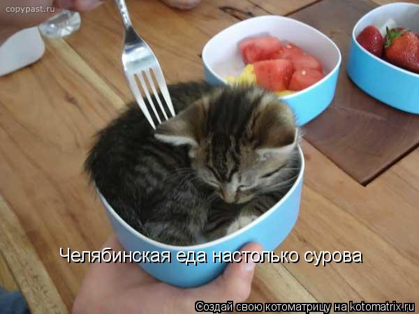 Котоматрица: Челябинская еда настолько сурова