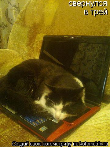 Котоматрица: свернулся в трей