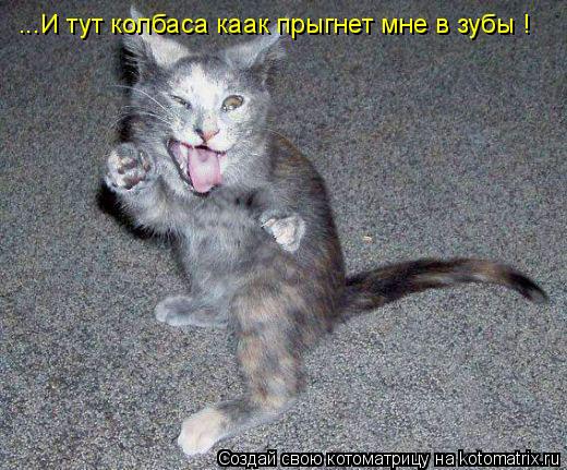 Котоматрица: ...И тут колбаса каак прыгнет мне в зубы !