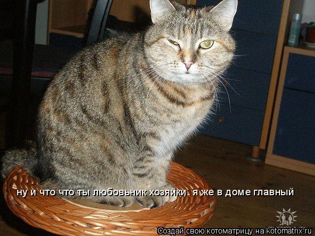 Котоматрица: ну и что что ты любовьник хозяйки. я же в доме главный