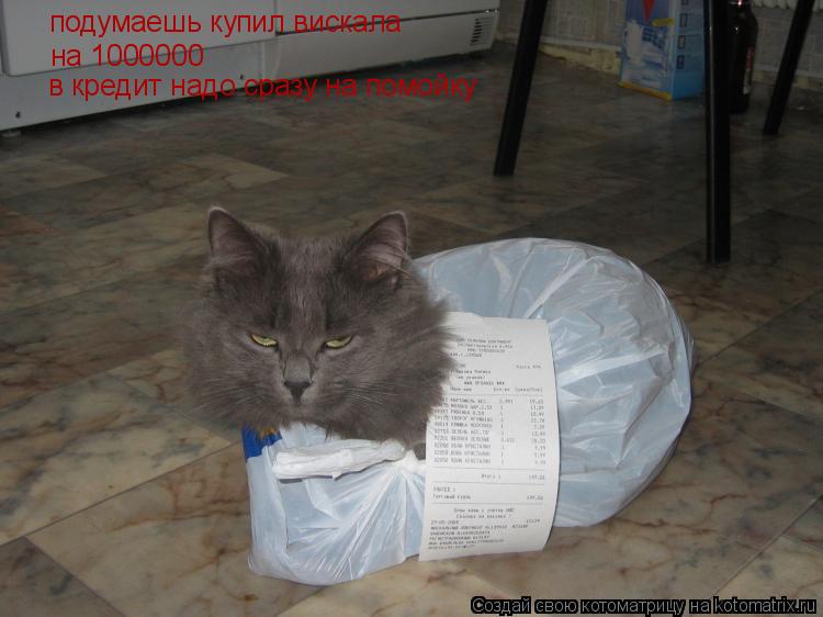 Котоматрица: подумаешь купил вискала на 1000000 в кредит надо сразу на помойку