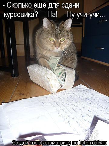Котоматрица: - Сколько ещё для сдачи курсовика?     На!     Ну учи-учи...