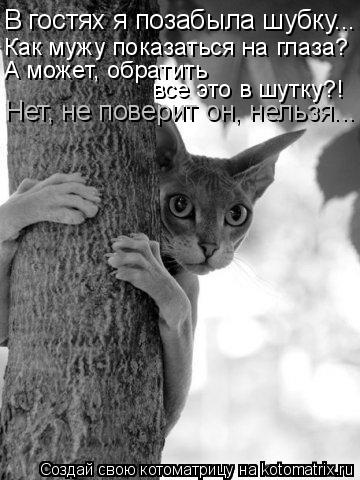 Котоматрица: В гостях я позабыла шубку... Как мужу показаться на глаза? А может, обратить  все это в шутку?! Нет, не поверит он, нельзя...