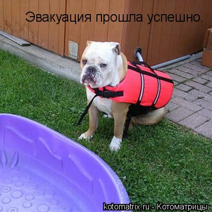 Котоматрица: Эвакуация прошла успешно.