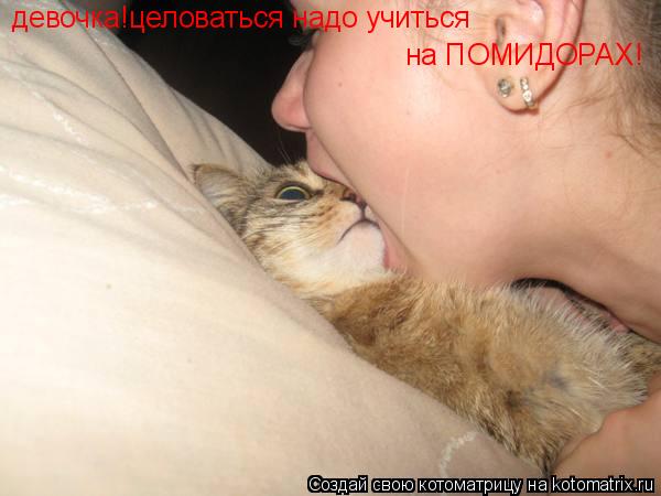 Котоматрица: девочка!целоваться надо учиться на ПОМИДОРАХ!