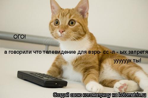 Котоматрица: а говорили что телевидение для взро- сс -л - ых запретят!  ОГО! уууууух ты!