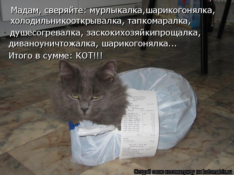 Котоматрица: Мадам, сверяйте: мурлыкалка,шарикогонялка, холодильникооткрывалка, тапкомаралка, душесогревалка, заскокихозяйкипрощалка, диваноуничтожа