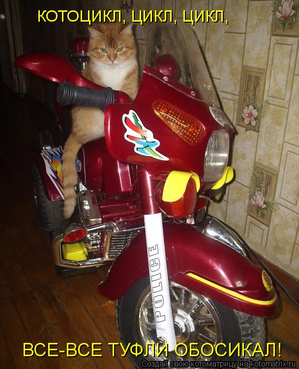 Котоматрица: КОТОЦИКЛ, ЦИКЛ, ЦИКЛ, ВСЕ-ВСЕ ТУФЛИ ОБОСИКАЛ!