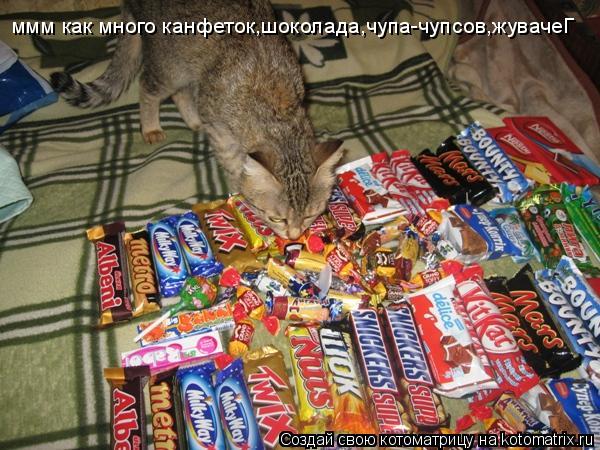 Котоматрица: ммм как много канфеток,шоколада,чупа-чупсов,жувачеГ