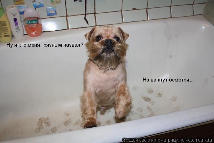 Котоматрица: Ну и кто меня грязным назвал?  На ванну посмотри...