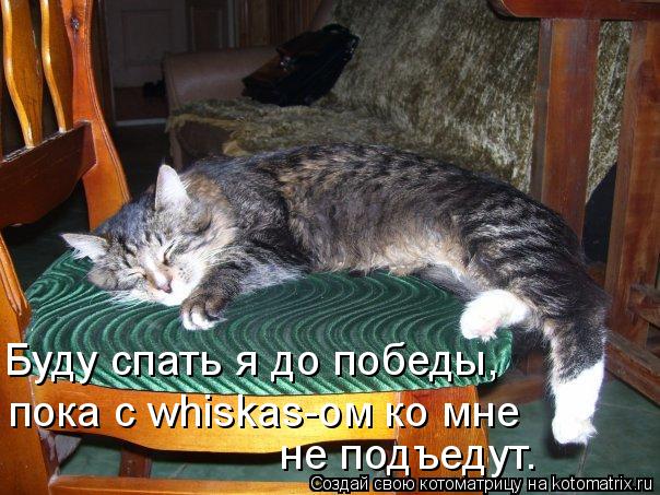 Котоматрица: Буду спать я до победы, пока с whiskas-ом ко мне  не подъедут.