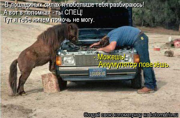 Котоматрица: А вот в поломках - ты СПЕЦ! - В лошадиных силах я побольше тебя разбираюсь! Тут я тебе ничем помочь не могу. - Можешь! Аккумулятор повезёшь.