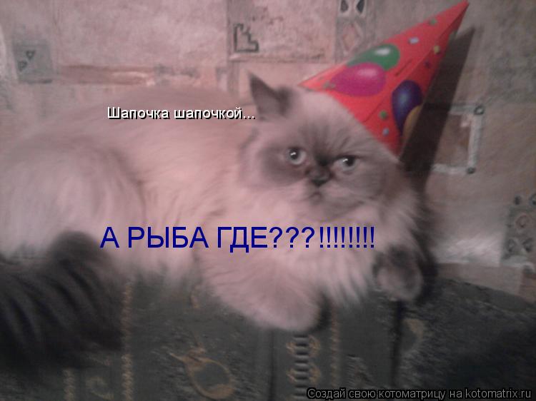 Котоматрица: Шапочка шапочкой... А РЫБА ГДЕ???!!!!!!!!