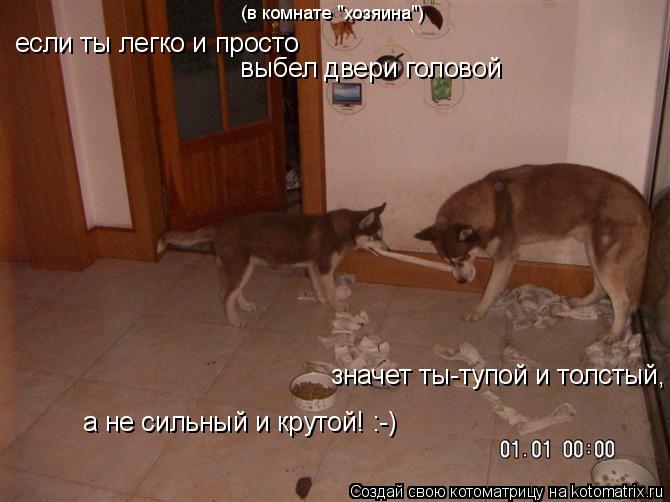 Котоматрица: (в комнате "хозяина") если ты легко и просто выбел двери головой значет ты-тупой и толстый, а не сильный и крутой! :-)