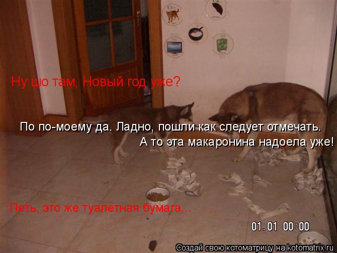 Котоматрица: Ну шо там, Новый год уже? По по-моему да. Ладно, пошли как следует отмечать. А то эта макаронина надоела уже! Петь, это же туалетная бумага...