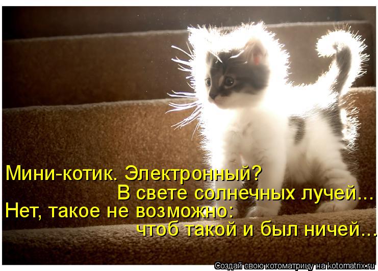 Котоматрица: Мини-котик. Электронный?  В свете солнечных лучей... Нет, такое не возможно: чтоб такой и был ничей...