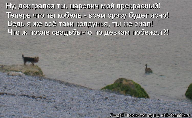 Ну, доигрался ты, царевич мой прекрасный! Теперь что ты кобель - всем сразу будет ясно! Ведь я... Котоматрица: Ну, доигрался ты, царевич мой прекрасный! Теперь что ты кобель - всем сразу будет ясно! Ведь я же всё-таки колдунья, ты же знал! Что ж посл